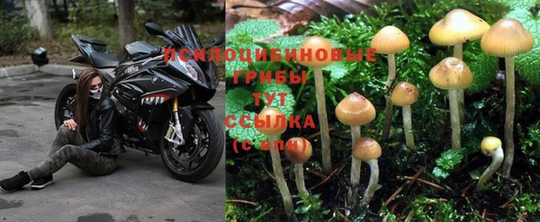 прущая мука Беломорск
