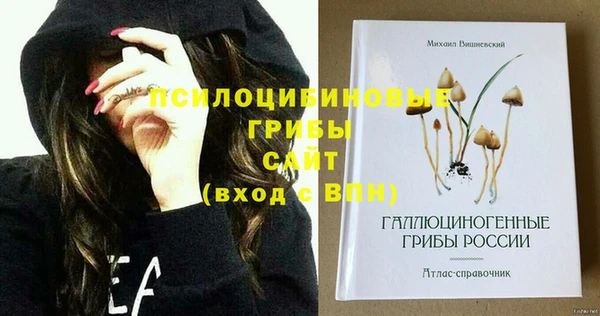спиды Белоозёрский