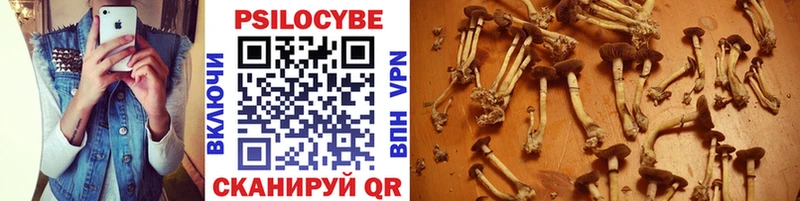 Галлюциногенные грибы Psilocybine cubensis  наркошоп  Кумертау 